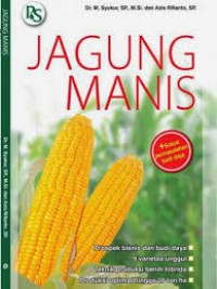 Jagung Manis