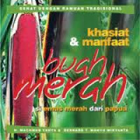 Khasiat & manfaat buah merah