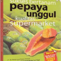 Sukses bertanam pepaya unggul kualitas supermarket