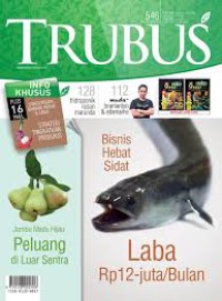 TRUBUS, Bisnis Hebat Sidat Laba Rp 12 juta/bulan