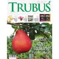 TRUBUS, Kabar dari Thailand Pmaelo Merah