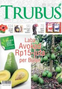 TRUBUS, Laba Avokad Rp 15 Juta perbulan