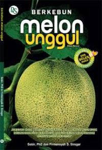 BERKEBUN MELON UNGGUL