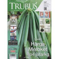 Image of TRUBUS, Vanili Harga Meroket Rp 4 juta/kg