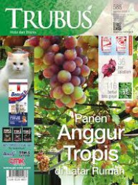 Image of TRUBUS, Panen Anggur Tropis di latar rumah