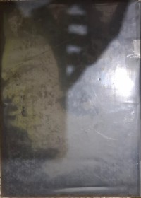 Image of An Introduction to Waves, Rays and Radiation in Plasma Media