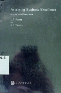 Assesing Business Excellence