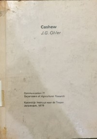 Image of Cashew