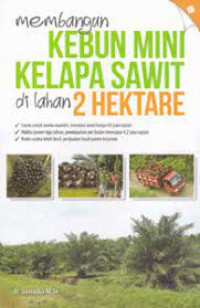 Membangun Kebun Mini Kelapa Sawit di lahan 2 Hektar