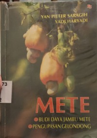 Image of Mete: Budi Daya Jambu Mete, Pengupasan Gelondong